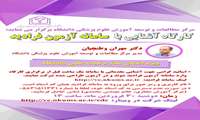 برگزاری کارگاه آشنایی با «سامانه آزمون فرادید»